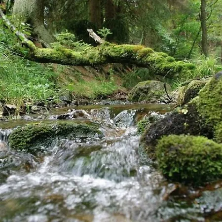 Resort Typ Fuchsbau Schmallenberg