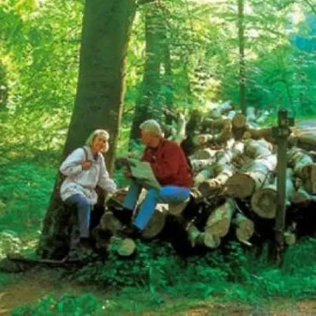 Typ Fuchsbau Schmallenberg