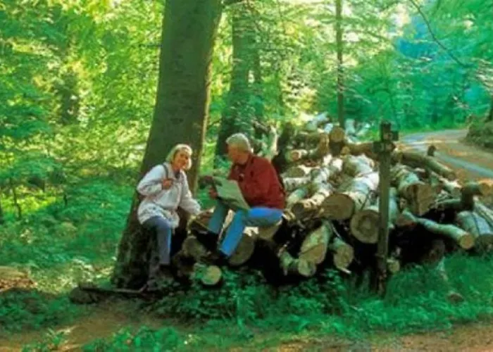 Typ Fuchsbau Schmallenberg