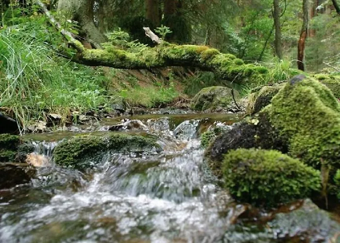 Resort Typ Fuchsbau Schmallenberg